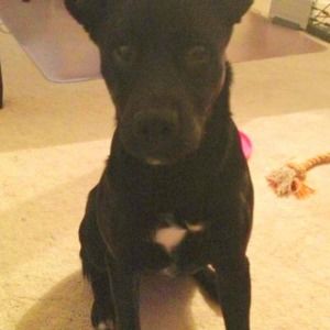 Meet your Posher, Beverly